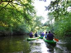 picture of Semi-nocturne en canoë sur le Don