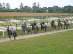 picture of Visite du Centre d'Entraînement Régional de Galop de l'Ouest (C.E.R.G.O)