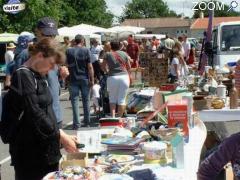 picture of Puces Ile d'Olonne 10 aout 2008